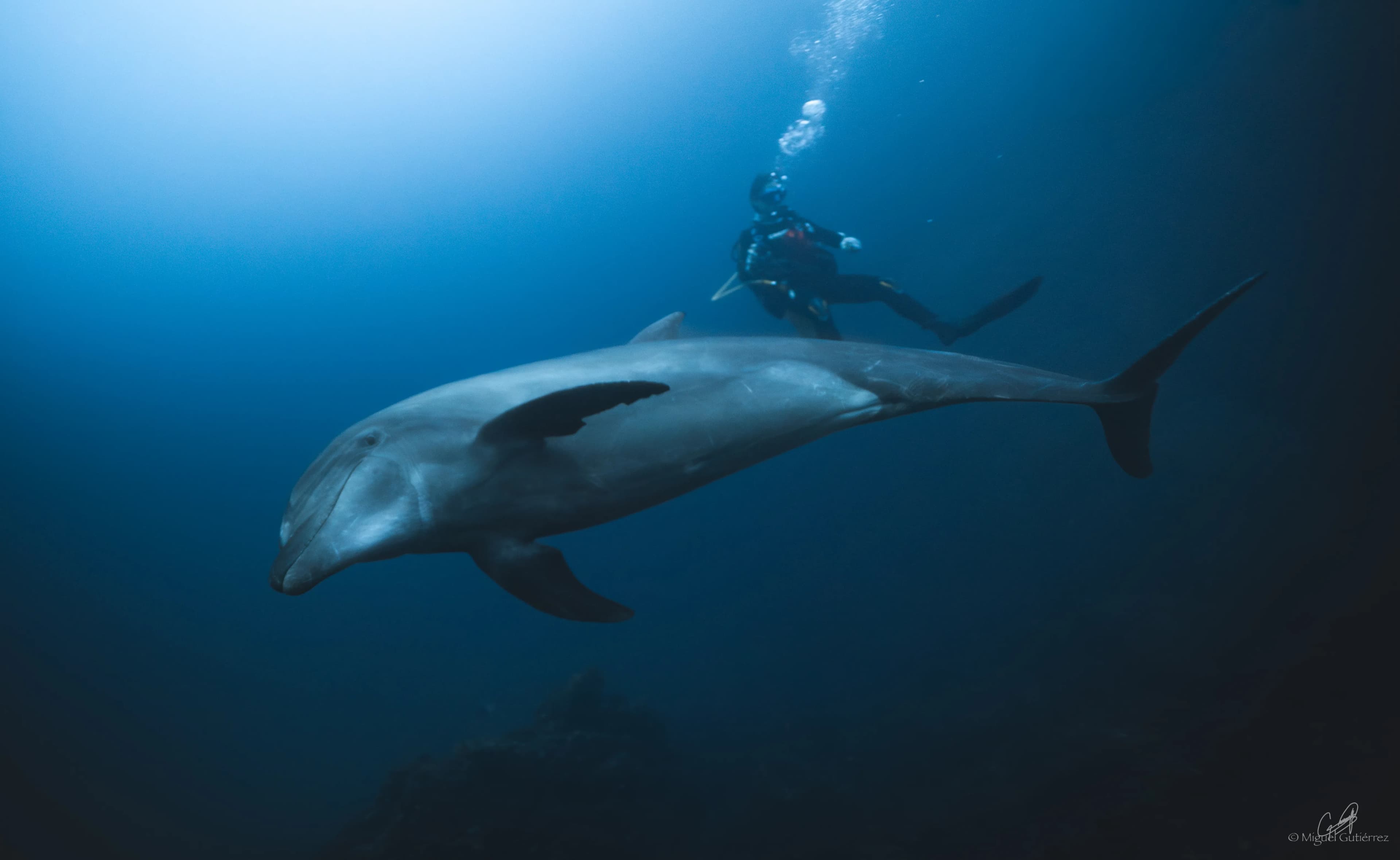 Explore Untouched Shores