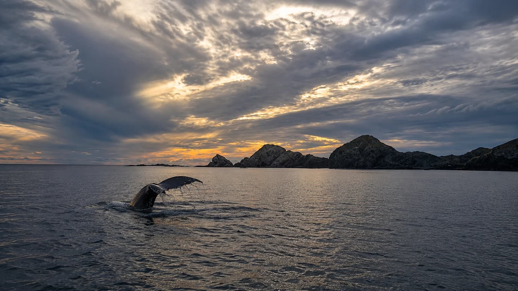 Sea of Cortez